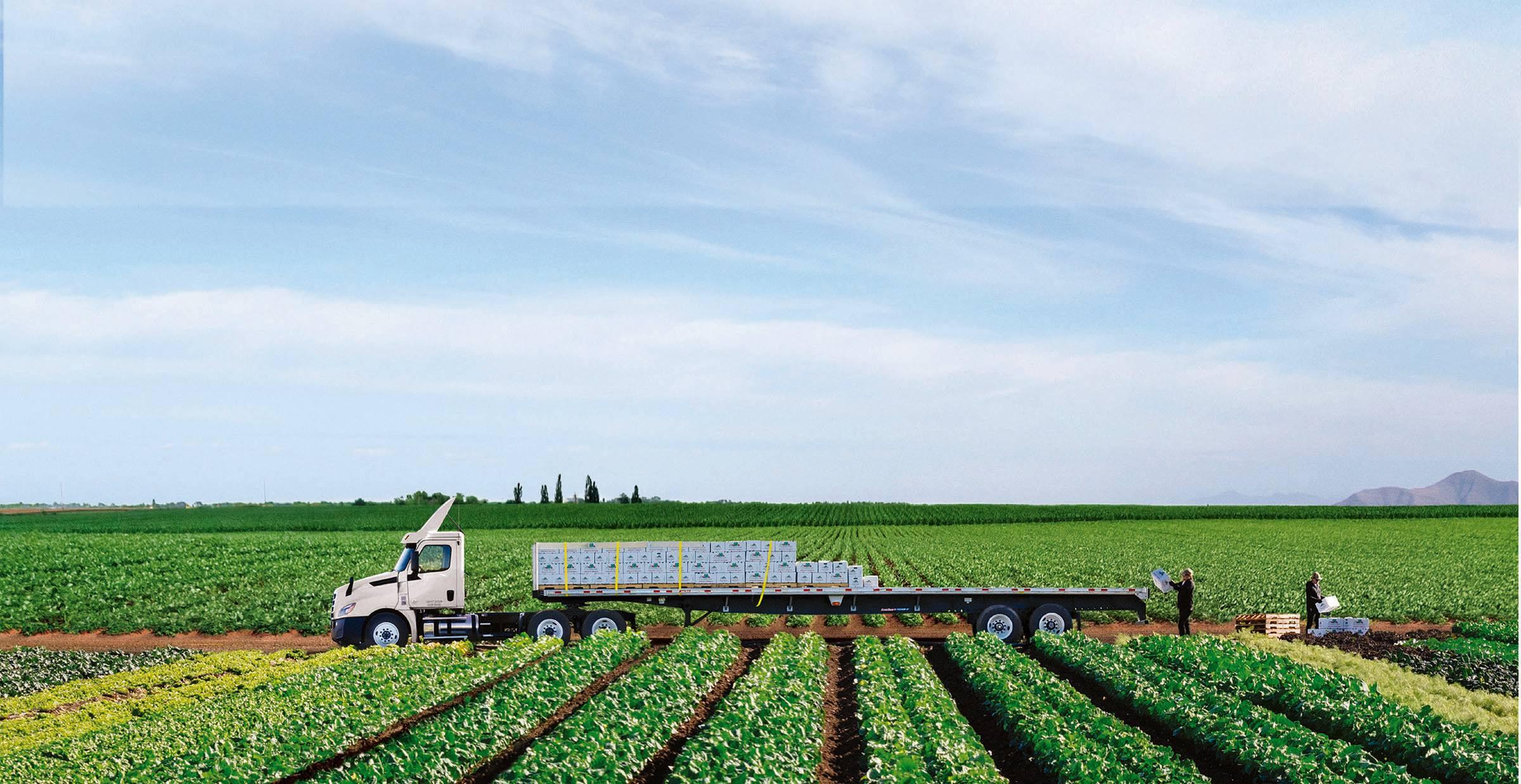 Two men load a Penske flatbed truck in a farm field.